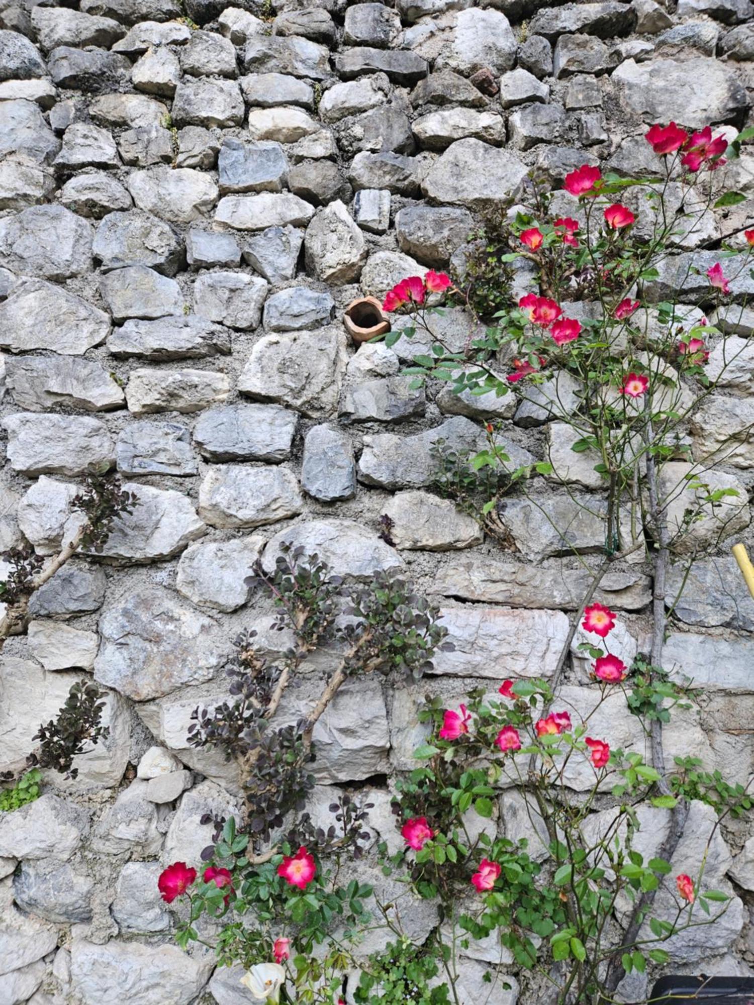 Gardainn Giardino 38A Riva del Garda Exterior photo