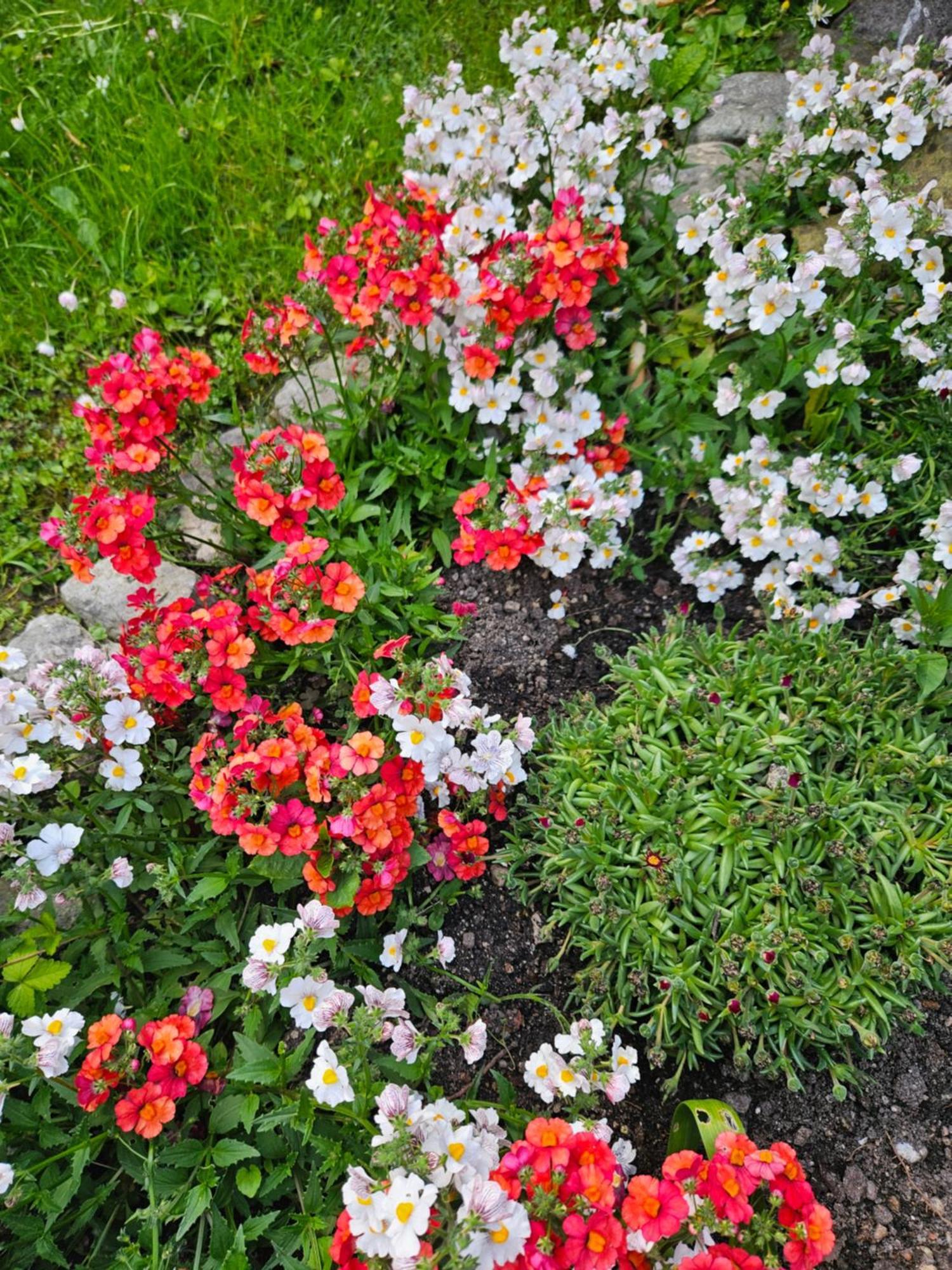 Gardainn Giardino 38A Riva del Garda Exterior photo