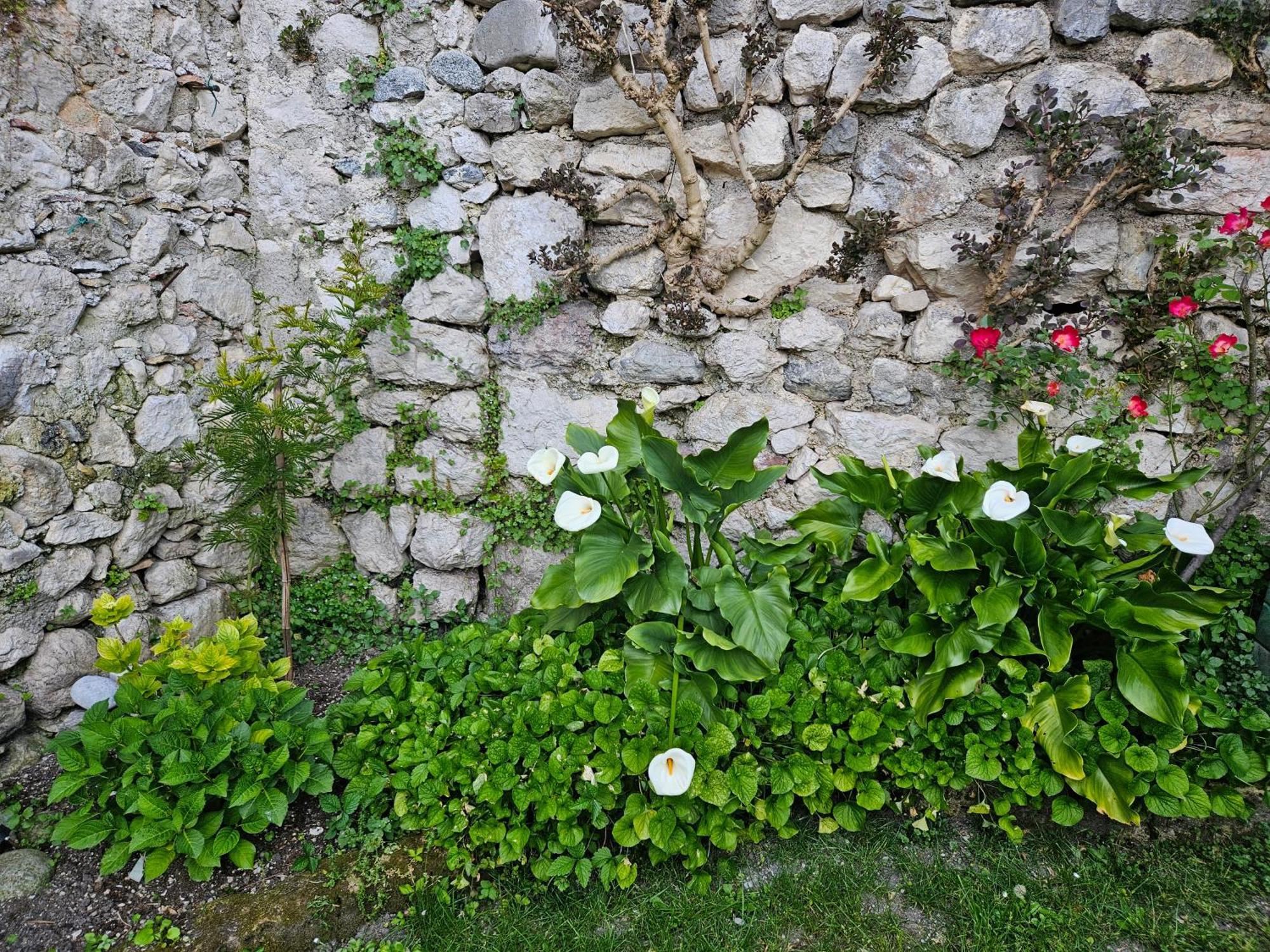 Gardainn Giardino 38A Riva del Garda Exterior photo